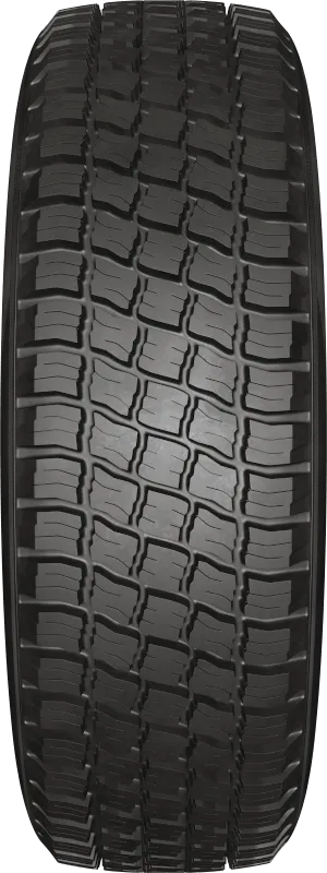 KAMA-219 в Старой Руссе — KAMA TYRES KAMA-219 в Старой Руссе